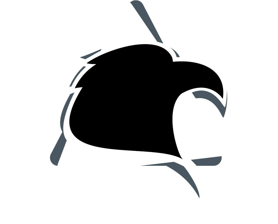 Desenvolvido por Renato Guimarães